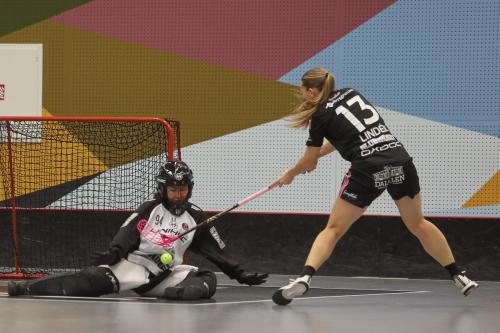20241221 PixboDFalun 0164