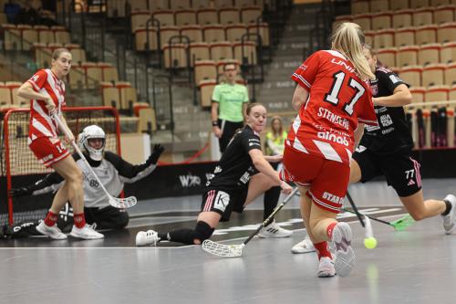 20241221 PixboDFalun 0168