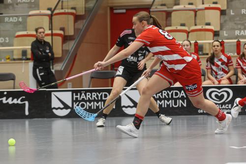 20241221 PixboDFalun 0188