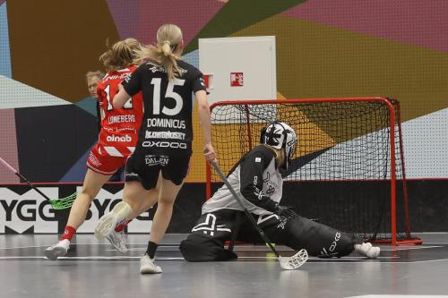 20241221 PixboDFalun 0191
