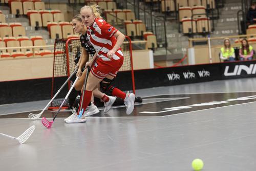 20241221 PixboDFalun 0199