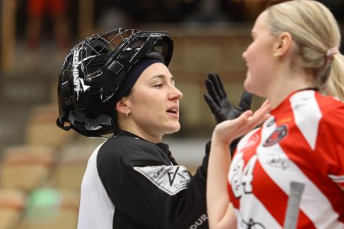 20241221 PixboDFalun 0204