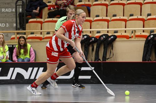 20241221 PixboDFalun 0205