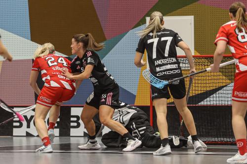 20241221 PixboDFalun 0239