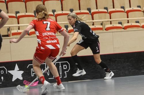 20241221 PixboDFalun 0249