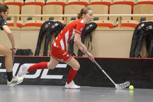 20241221 PixboDFalun 0251