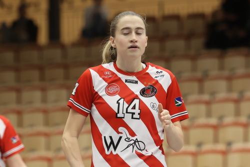 20241221 PixboDFalun 0257