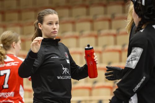 20241221 PixboDFalun 0264