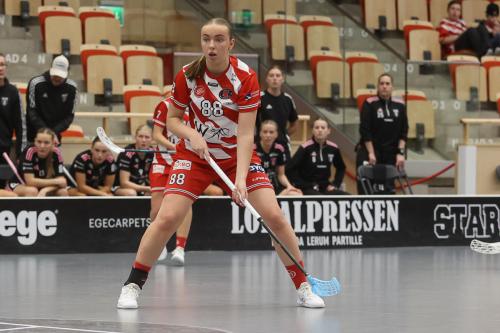 20241221 PixboDFalun 0271