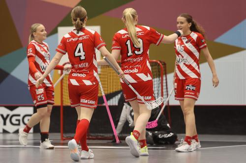 20241221 PixboDFalun 0273