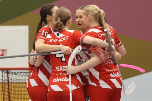 20241221 PixboDFalun 0274
