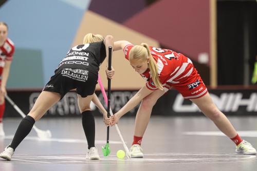 20241221 PixboDFalun 0277