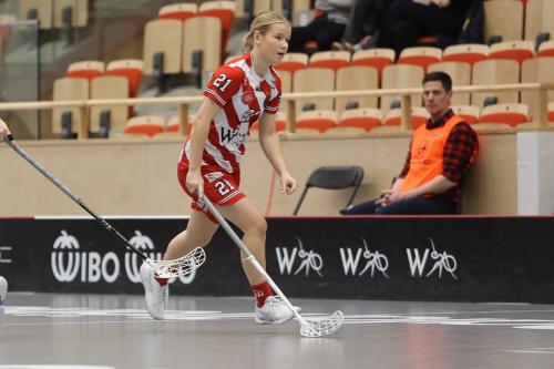 20241221 PixboDFalun 0356