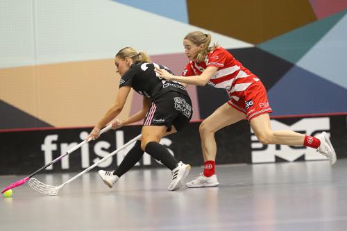 20241221 PixboDFalun 0360