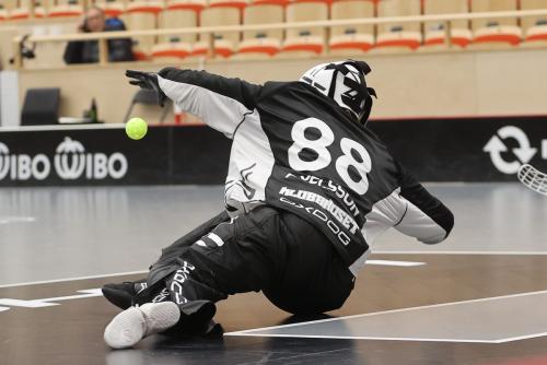 20241221 PixboDFalun 0376
