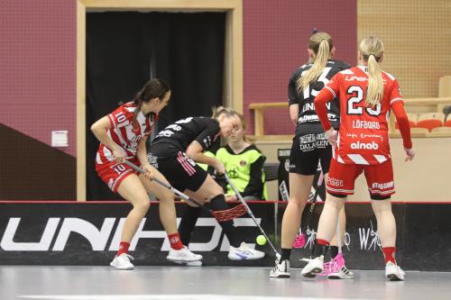20241221 PixboDFalun 0393