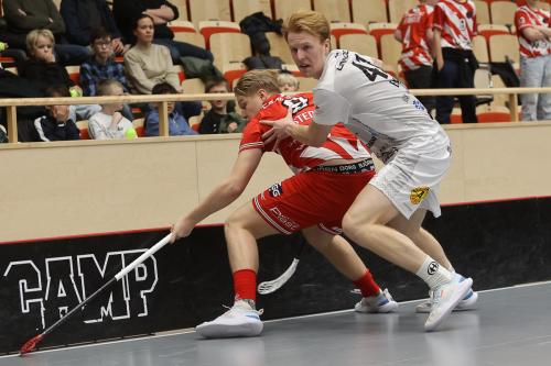 20241221 PixboHDalen 0029