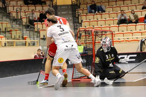 20241221 PixboHDalen 0050