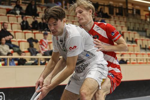 20241221 PixboHDalen 0053