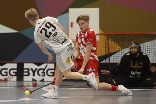 20241221 PixboHDalen 0058