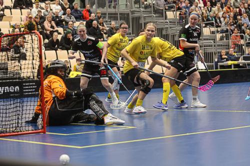 20250118 SaiPaSBPro 0271