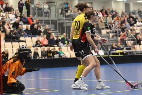 20250118 SaiPaSBPro 0285