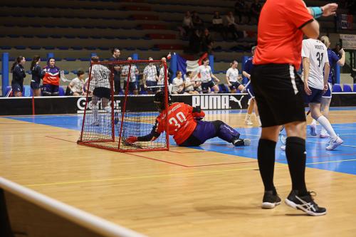 20250129 SVKFRA 0039