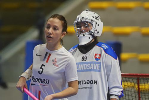 20250129 SVKFRA 0080