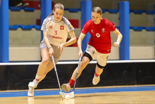 20250130 DENSUI 0105