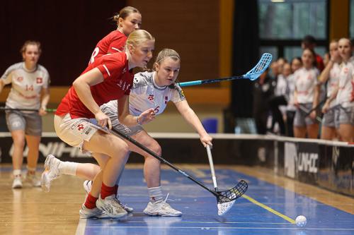 20250130 DENSUI 0131