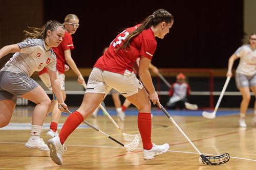 20250130 DENSUI 0134