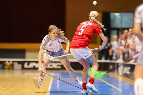 20250130 DENSUI 0140