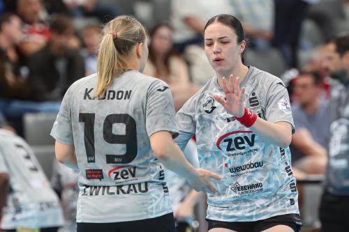 20250514 BayerZwickau 0168