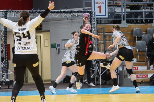 20250514 BayerZwickau 0195