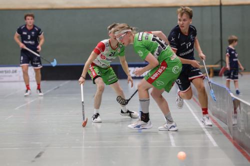 20251025 SSFDHfK 0356