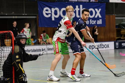 20251025 SSFDHfK 0429