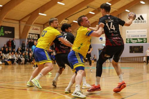 20251005 VIFW H71M 0116