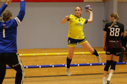 20251005 VIFW H71W 0183