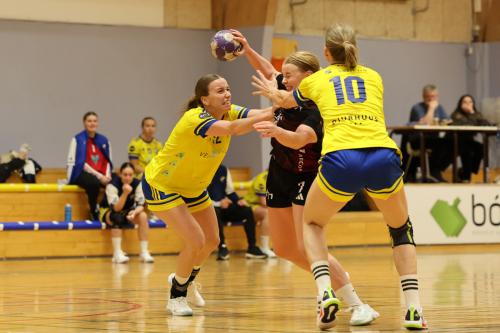 20251005 VIFW H71W 0247