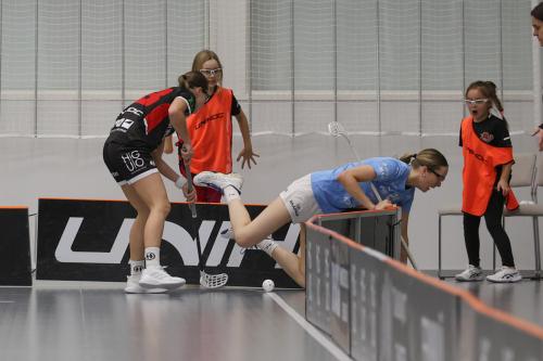 20251122 SBPro Viikingit 0219