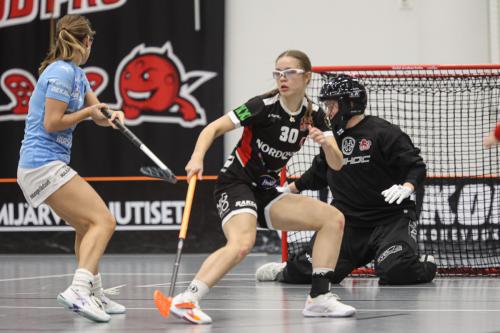 20251122 SBPro Viikingit 0347