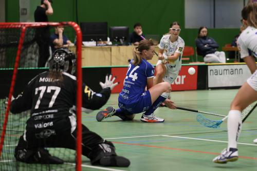 20251101 ZugJetsLUPL 0333