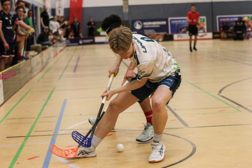 20260124 HoBueSSF 0149