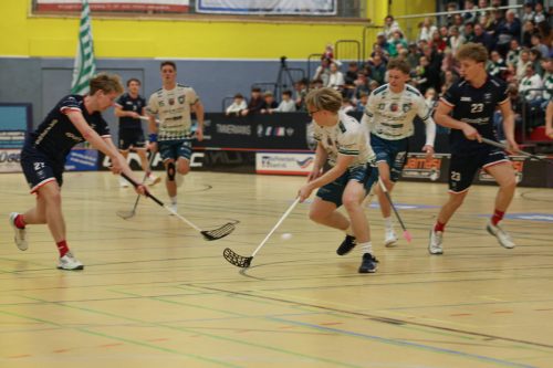 20260124 HoBueSSF 0349