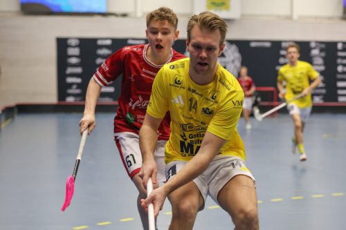 20260103 HovslattVisby 0020