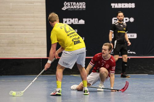 20260103 HovslattVisby 0025