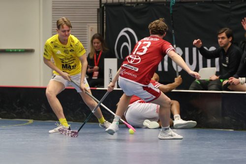 20260103 HovslattVisby 0028