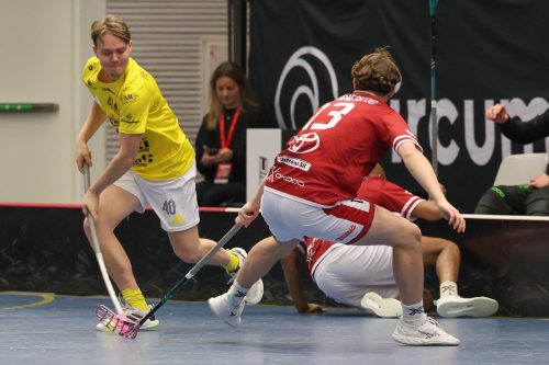 20260103 HovslattVisby 0029