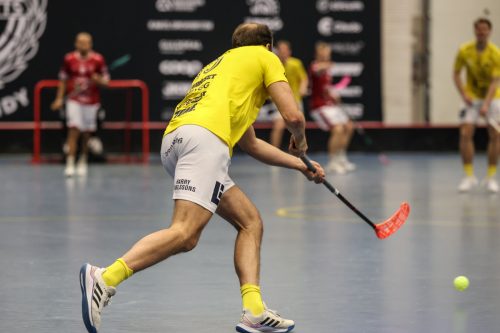 20260103 HovslattVisby 0031