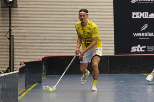 20260103 HovslattVisby 0038